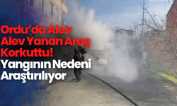 Ordu’da Alev Alev Yanan Araç Korkuttu! Yangının Nedeni Araştırılıyor