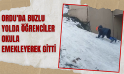 Ordu'da Buzlu Yolda Öğrenciler Okula Emekleyerek Gitti