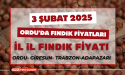 Ordu'da Fındık Fiyatları: 3 Şubat 2025 Güncel Rakam