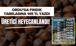 Ordu’da Fındık Tabelasına 145 TL Yazdı, Üretici Heyecanlandı!