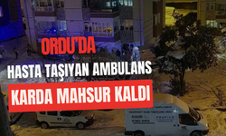 Ordu’da Hasta Taşıyan Ambulans Karda Mahsur Kaldı