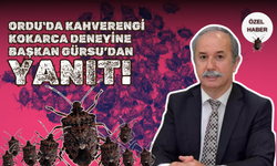 Ordu'da Kahverengi Kokarca Deneyine Başkan Gürsu’dan Yanıt!