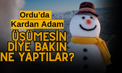 Ordu’da Kardan Adam Üşümesin Diye Bakın Ne Yaptılar?