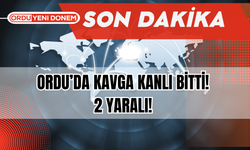 Ordu’da Kavga Kanlı Bitti! 2 Yaralı!