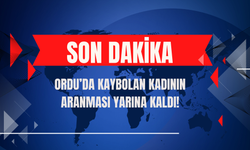 Ordu’da Kaybolan Kadının Aranması Yarına Kaldı!