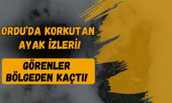 Ordu’da Korkutan Ayak İzleri: Görenler Bölgeden Kaçtı!