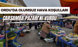 Ordu’da Olumsuz Hava Koşulları Çarşamba Pazarı'nı Vurdu