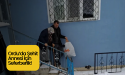 Ordu’da Şehit Annesi İçin Seferberlik!