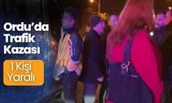 Ordu’da trafik kazası: 1 yaralı