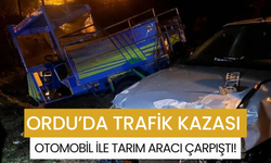 Ordu’da Trafik Kazası: Otomobil ile Tarım Aracı Çarpıştı!