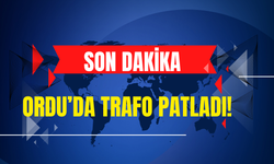 Ordu’da Trafo Patladı! İşte O Görüntüler...