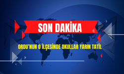 Ordu’nun O İlçesinde Okullar Yarın Tatil