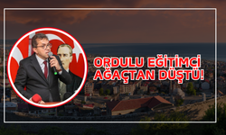 Ordulu Eğitimci Ağaçtan Düştü!