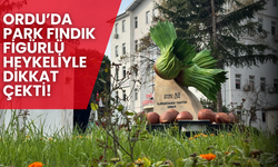 Ordu’da Park Fındık Figürlü Heykeliyle Dikkat Çekti!