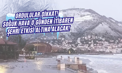 Ordulular Dikkat! Soğuk Hava O Günden İtibaren Şehri Etkisi Altına Alacak!