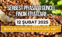 Serbest Piyasada Güncel FINDIK Fiyatları! (12 Şubat 2025)