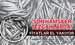 Son Hamsiler Tezgahlarda! Fiyatlar El Yakıyor