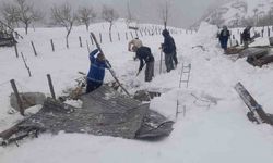 Trabzon’da kar nedeniyle ahırın çatısı çöktü