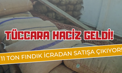 Tüccara Haciz Geldi! 11 Ton Fındık İcradan Satışa Çıkıyor!