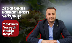 Ziraat Odası Başkanı’ndan Sert Çıkış! “Kokarca Yeseydi Fındığı Keşke”