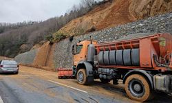 Zonguldak-Ereğli yolunda heyelan meydana geldi