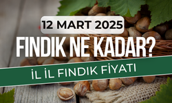 12 Mart 2025 Güncel Fındık Fiyatları