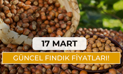 17 Mart Güncel Fındık Fiyatları!