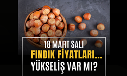 18 Mart 2025 Güncel Fındık Fiyatları