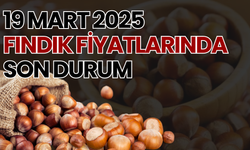 19 Mart 2025 Fındık Fiyatlarında Son Durum