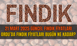 21 Mart 2025 Güncel Fındık Fiyatları: Ordu’da fındık fiyatları bugün ne kadar?