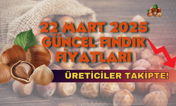 22 Mart 2025 Güncel Fındık Fiyatları: Üreticiler Takipte!