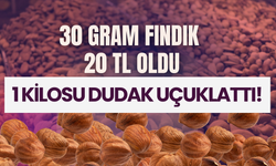 30 gram Fındık 20 TL Oldu, 1 Kilosu Dudak Uçuklattı!