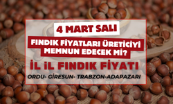 4 Mart Salı Günü Fındık Fiyatları? Üreticiler Endişeli!