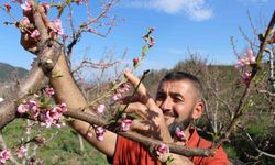 Ağaçların hepsini soğuktan korumak için dondurmuştu, tomurcukların yüzde 80’i çiçek açtı