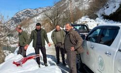 Artvin’de kaçak avcılar suçüstü yakalandı