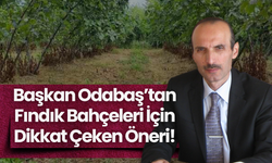 Başkan Odabaş’tan Fındık Bahçeleri İçin Dikkat Çeken Öneri!