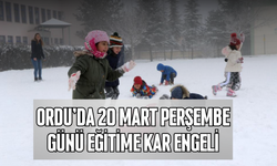 Ordu'da 20 Mart Perşembe Günü Eğitime Kar Engeli