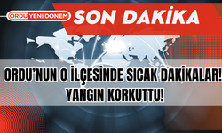 Ordu’nun O İlçesinde Sıcak Dakikalar! Yangın Korkuttu!