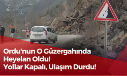 Ordu'nun O Güzergahında Heyelan Oldu! Yollar Kapalı, Ulaşım Durdu!