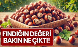 Fındığın Değeri Bakın Ne Çıktı!