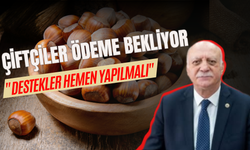 ÇİFTÇİLER ÖDEME BEKLİYOR "DESTEKLER HEMEN YAPILMALI"