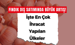 Fındık Dış Satımında Büyük Artış! İşte En Çok İhracat Yapılan Ülkeler