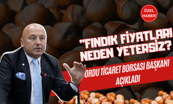 Fındık Fiyatları Neden Yetersiz? Ordu Ticaret Borsası Başkanı Açıkladı!