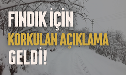 Fındık İçin Korkulan Açıklama Geldi!