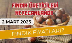 Fındık Üreticileri Heyecanlandı! 2 Mart 2025 Fındık Fiyatları