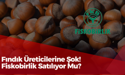 Fındık Üreticilerine Şok! Fiskobirlik Satılıyor Mu?