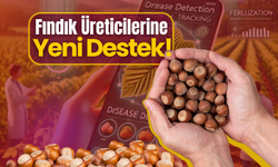 Fındık Üreticilerine Yeni Destek!