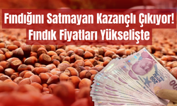 Fındığını Satmayan Kazançlı Çıkıyor! Fındık Fiyatları Yükselişte