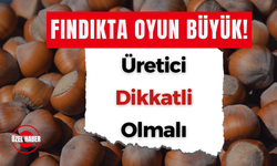 Fındıkta Oyun Büyük! Üretici Bu Tuzağa Düşmesin!