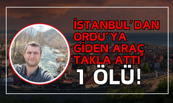 İstanbul’dan Ordu’ya Giden Araç Takla Attı, 1 Ölü!